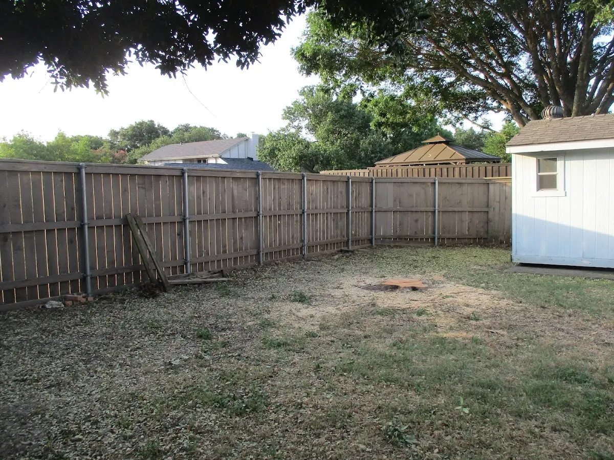 Cleared yard after professional tree removal in Antrim